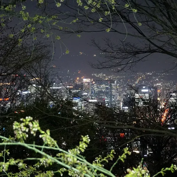 가든 로제나케어 마사지 대표 안내 이미지