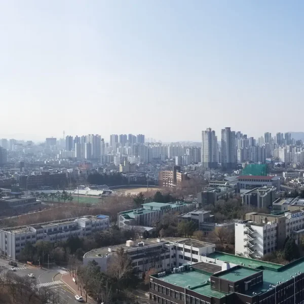 힐링 하린포레스트 테라피 대표 안내 이미지