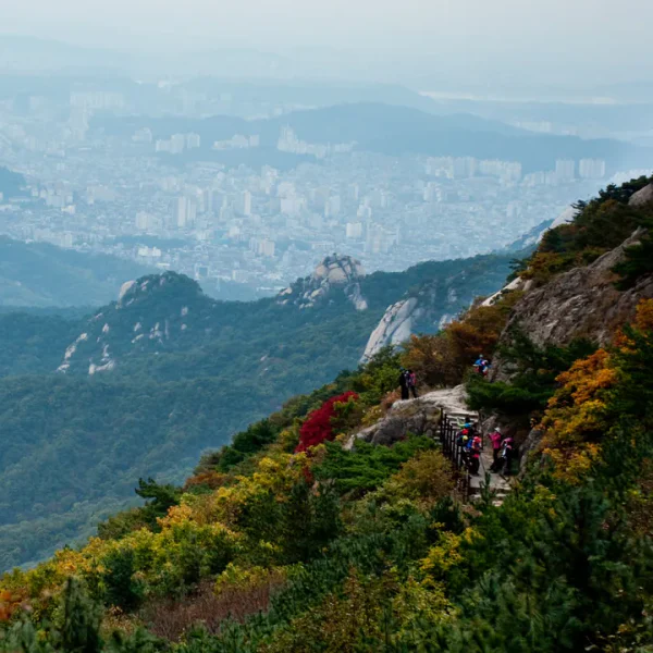 프리미엄 나연스튜디오 테라피 대표 안내 이미지